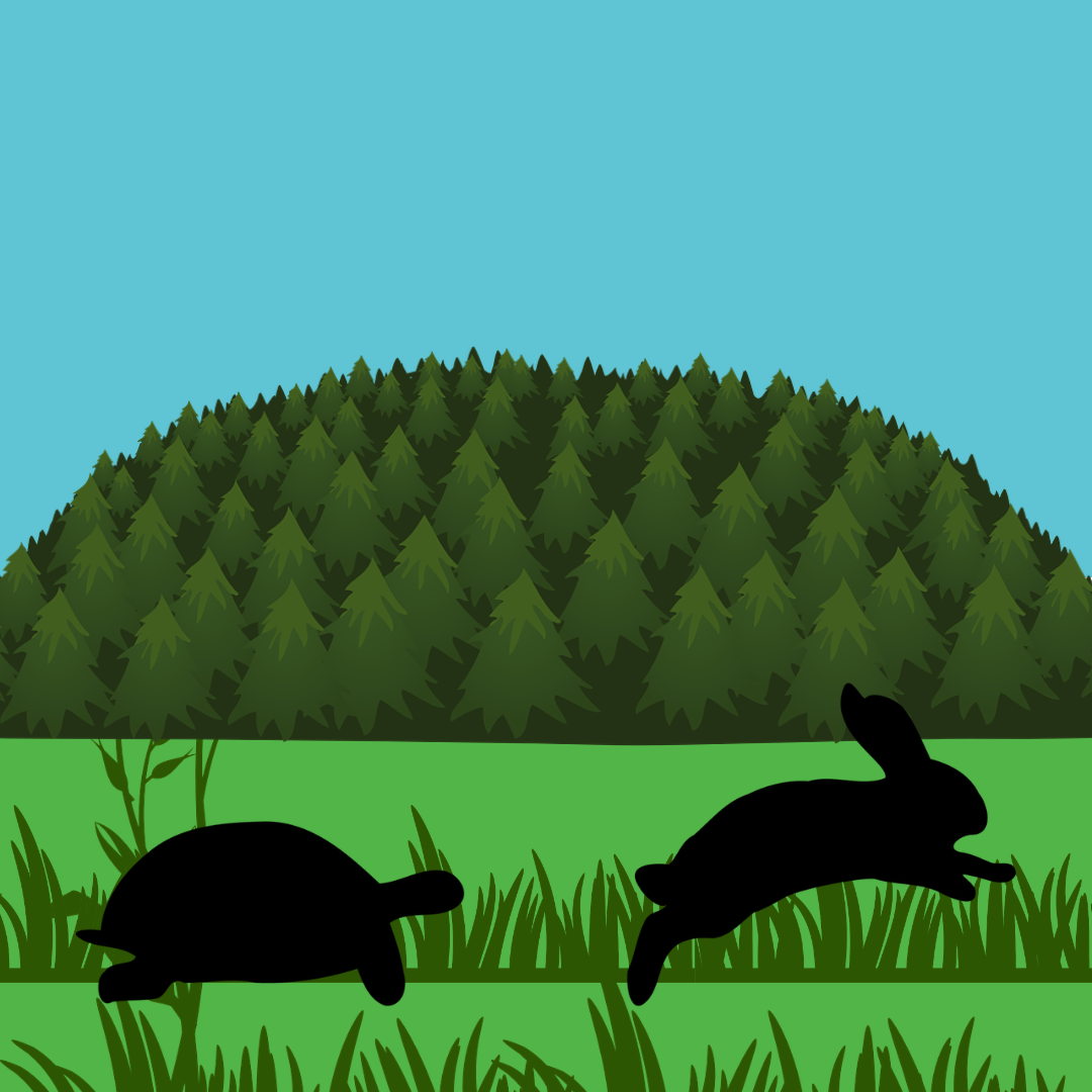 C# Homework Help - Tortoise vs Hare Game Programming